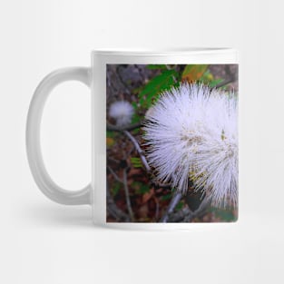 White Ohia Mug